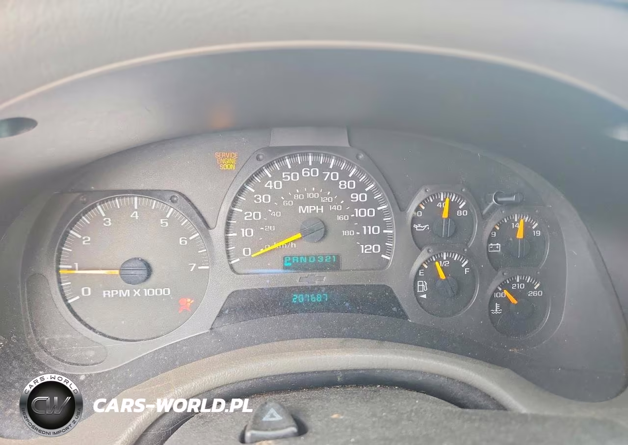 2003 Chevrolet Trailblazer VIN:1GNDS13S232256624 - 9