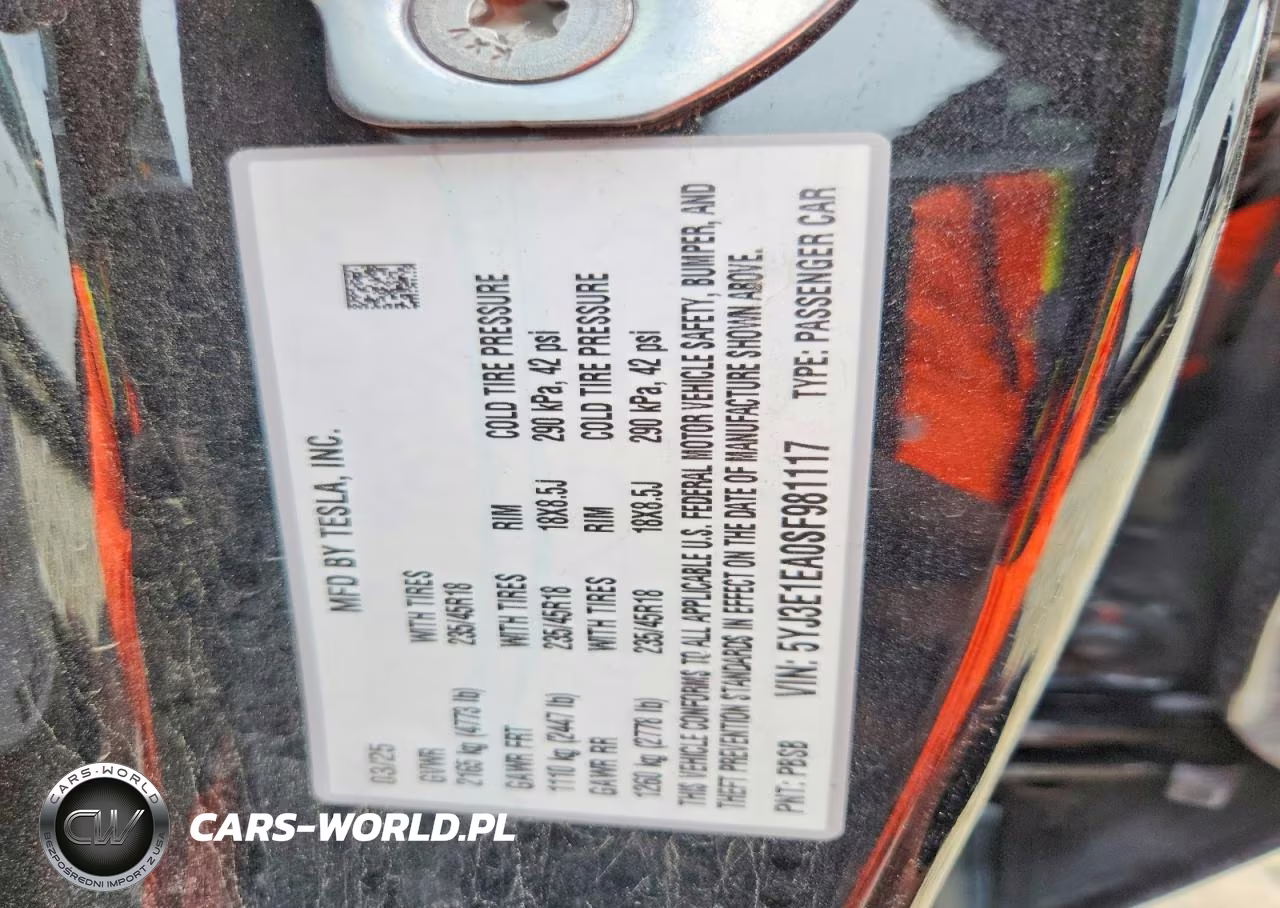 2025 Tesla Model 3 VIN:5YJ3E1EA0SF981117 - 12