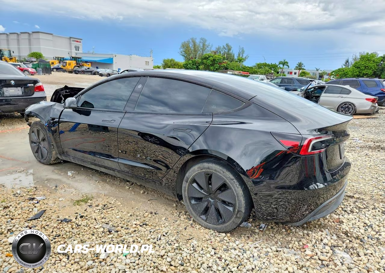 2025 Tesla Model 3 VIN:5YJ3E1EA0SF981117 - 2