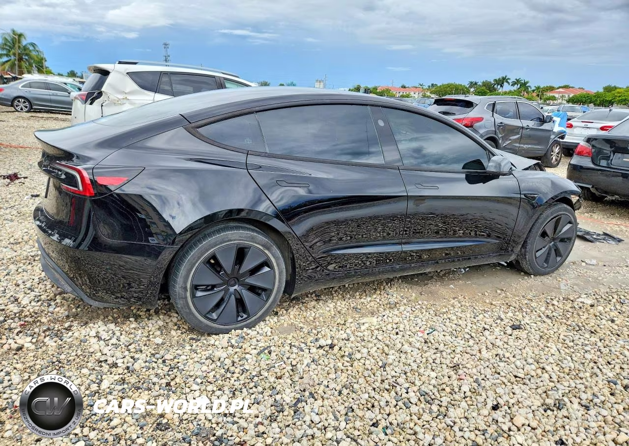 2025 Tesla Model 3 VIN:5YJ3E1EA0SF981117 - 3