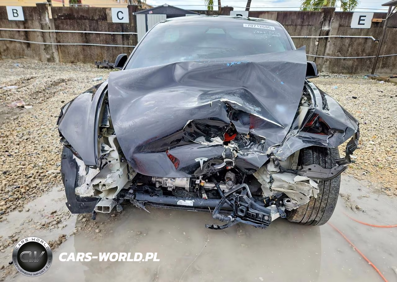 2025 Tesla Model 3 VIN:5YJ3E1EA0SF981117 - 5