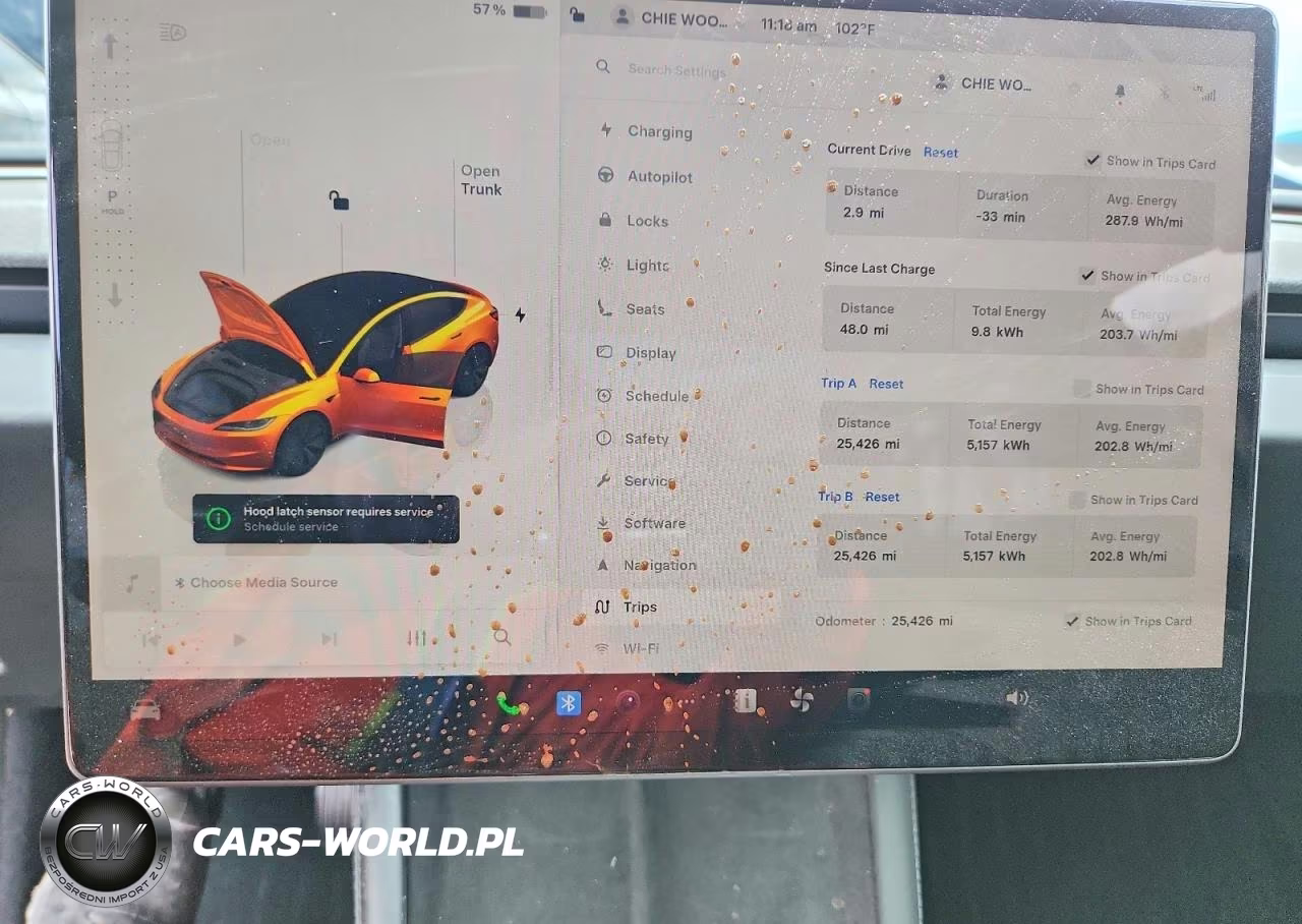2025 Tesla Model 3 VIN:5YJ3E1EA0SF981117 - 9