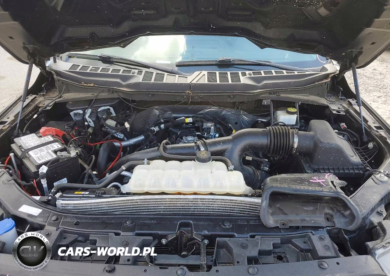 2023 Ford F150 Supercrew VIN:1FTEW1EP1PKG04137 - 11