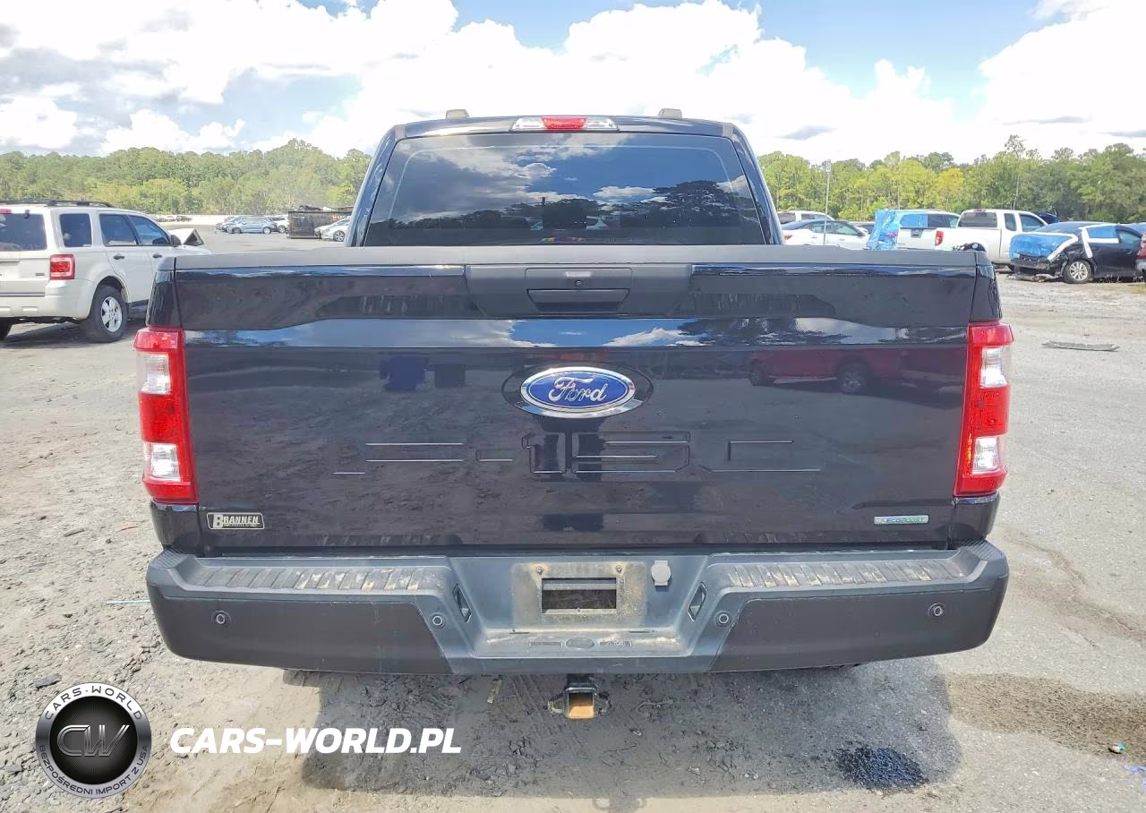 2023 Ford F150 Supercrew VIN:1FTEW1EP1PKG04137 - 6