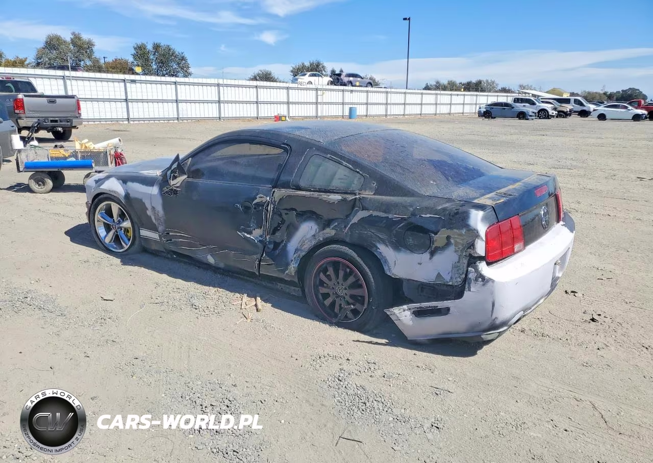 2007 Ford Mustang Gt VIN:1ZVHT82H975227533 - 2