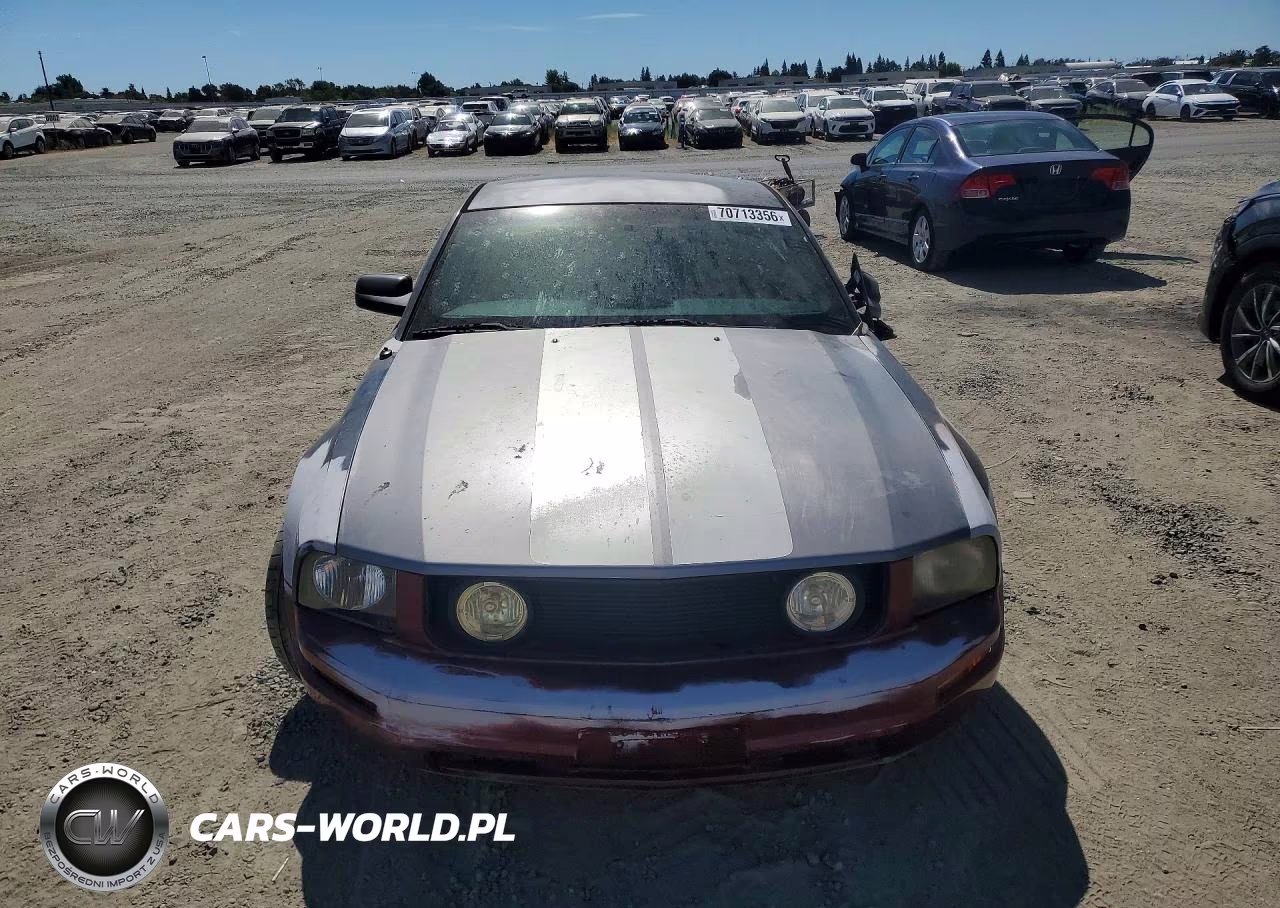 2007 Ford Mustang Gt VIN:1ZVHT82H975227533 - 5