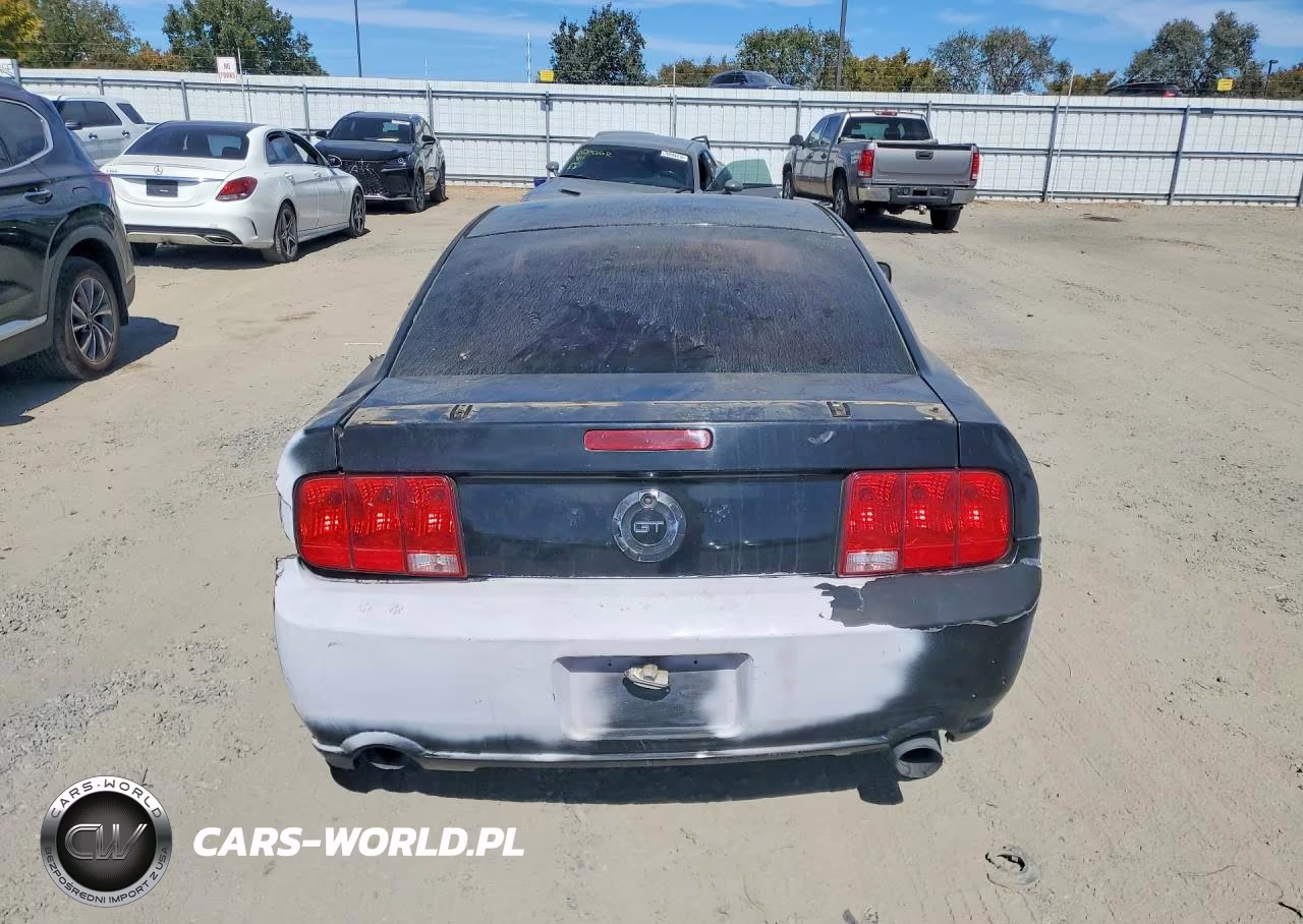 2007 Ford Mustang Gt VIN:1ZVHT82H975227533 - 6