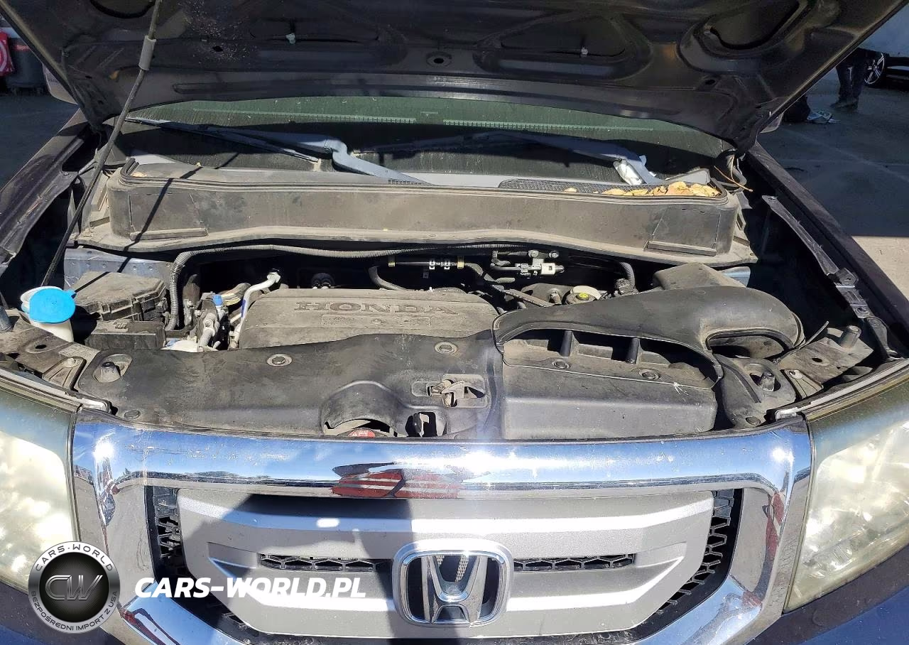 2010 Honda Pilot Exl VIN:5FNYF4H65AB040076 - 12