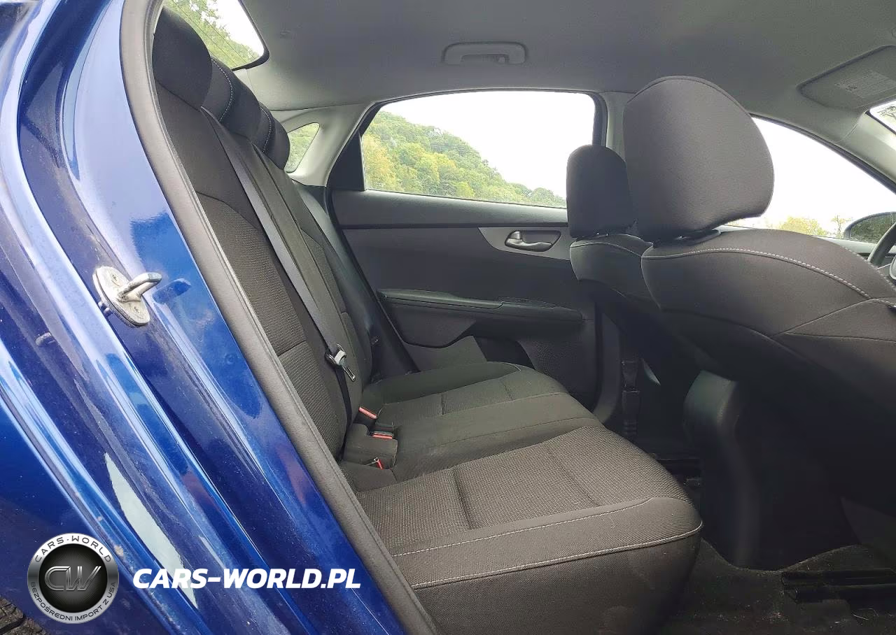 2020 Kia Forte Lxs VIN:3KPF24AD9LE197260 - 10