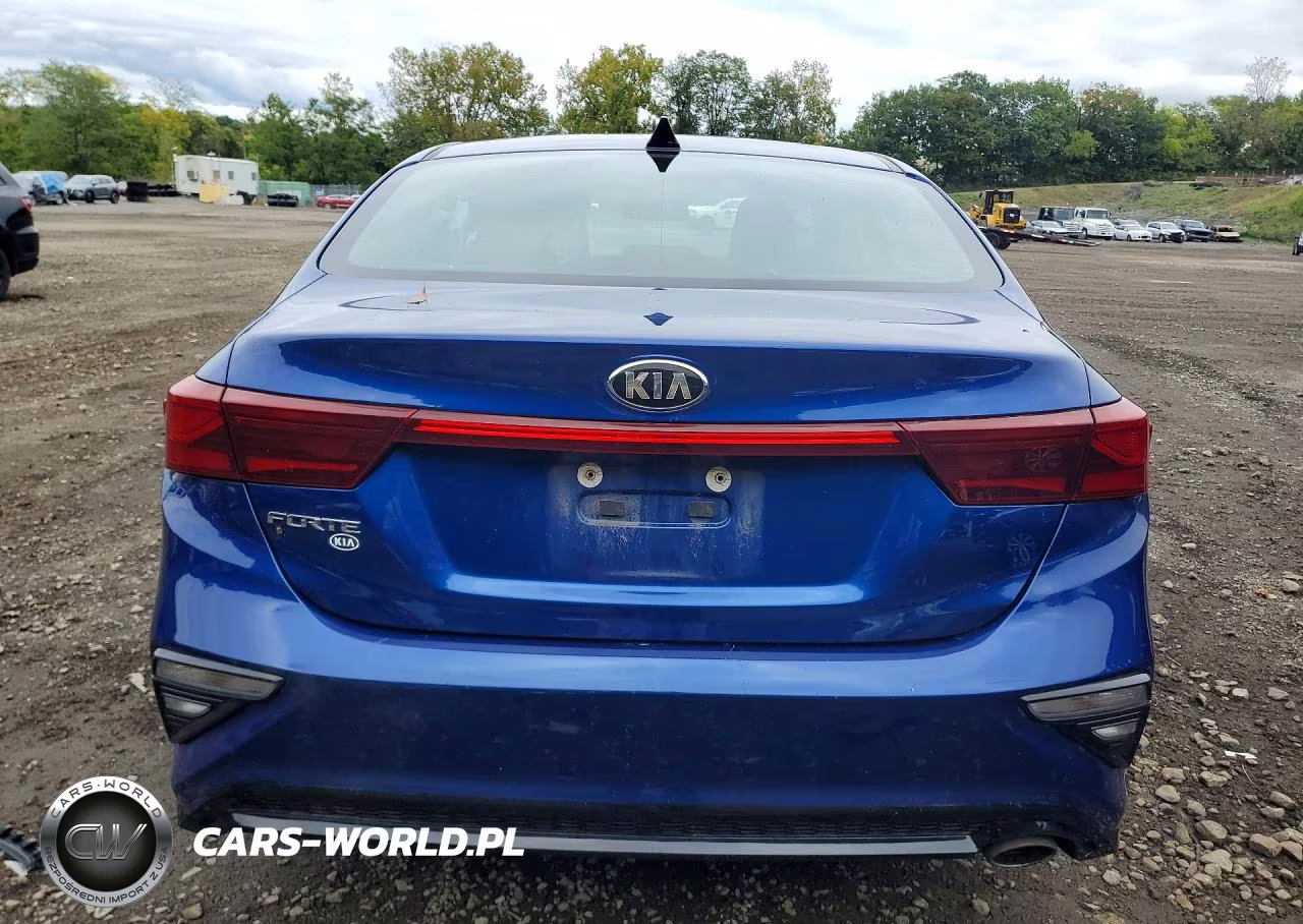 2020 Kia Forte Lxs VIN:3KPF24AD9LE197260 - 6
