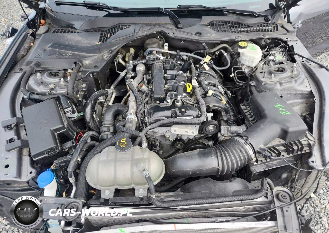 2022 Ford Mustang VIN:1FA6P8TH6N5110251 - 11