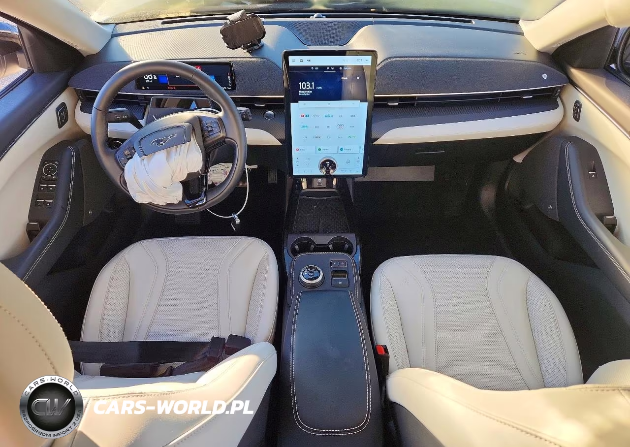 2024 Ford Mustang Mach-E Premium VIN:3FMTK3SU0RMA12003 - 8