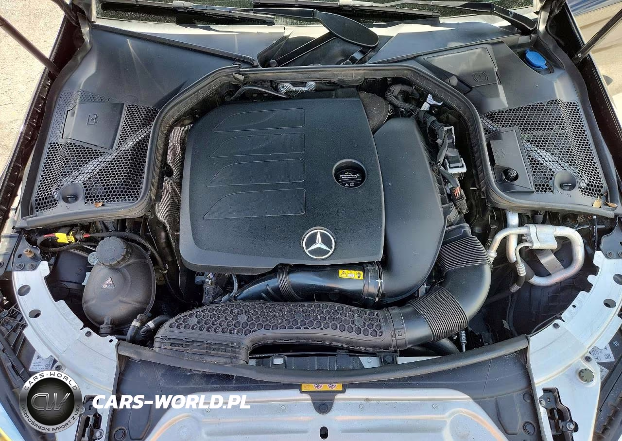 2019 Mercedes-Benz C 300 VIN:55SWF8DB7KU284359 - 11