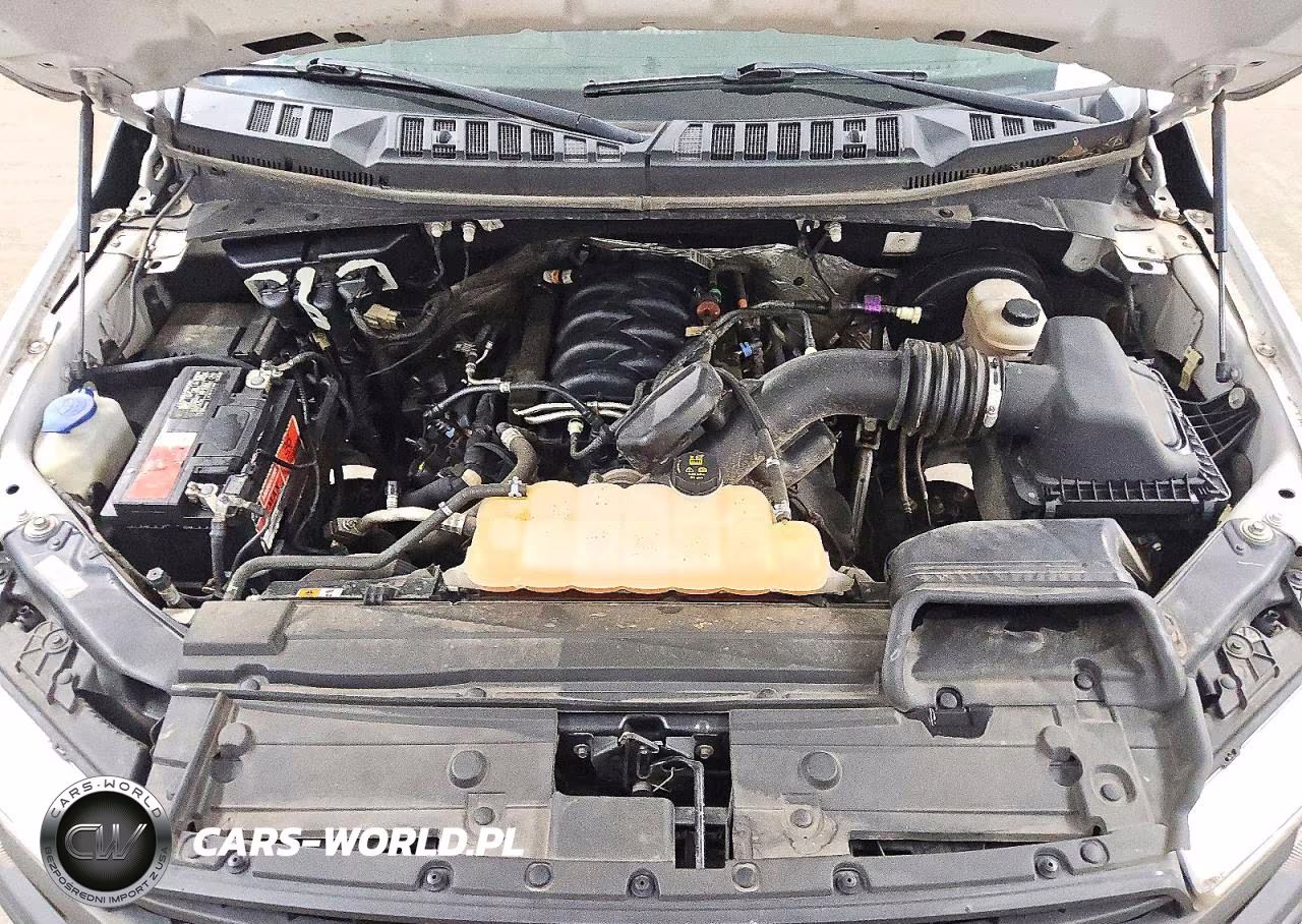 2019 Ford F150 Supercrew VIN:1FTEW1C59KFA28154 - 11