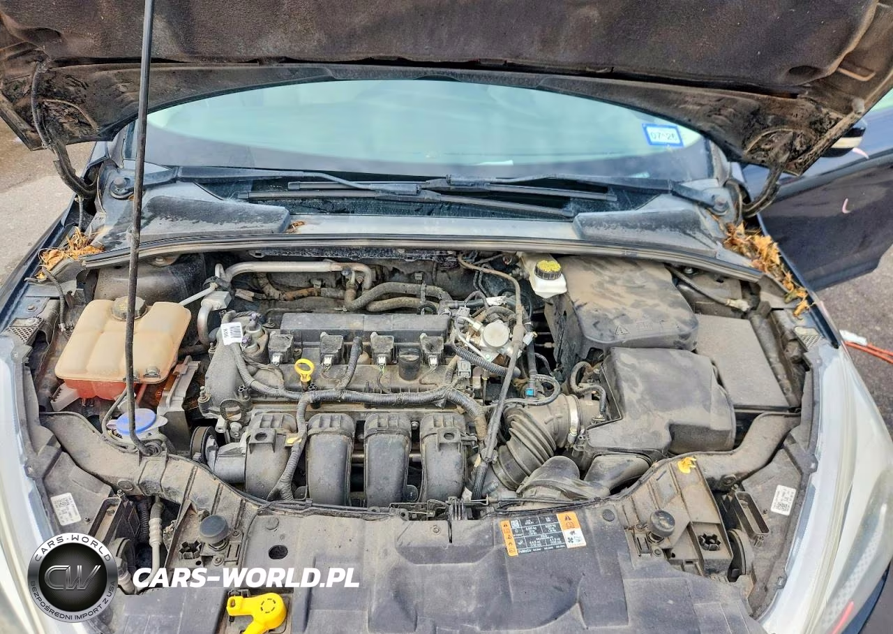 2017 Ford Focus Se VIN:1FADP3F26HL324576 - 11