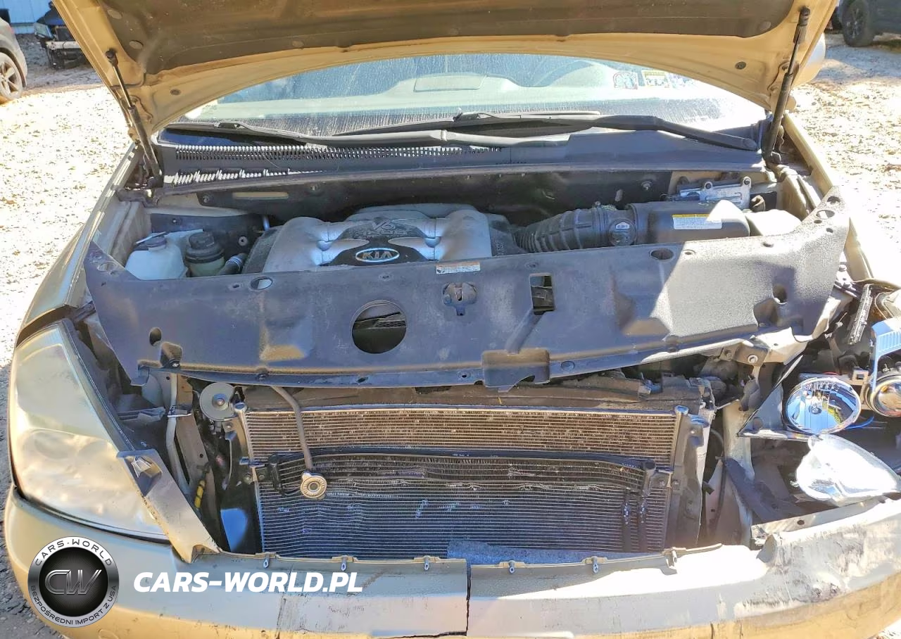 2006 Kia Sedona Lx VIN:KNDMB233566034762 - 12