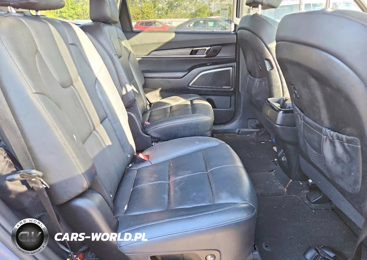 2022 Kia Telluride Sx VIN:5XYP54HC2NG216794 - 10