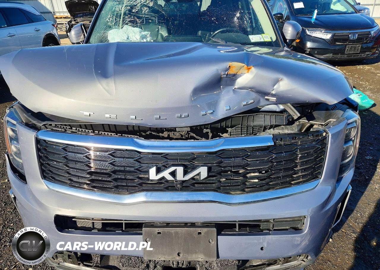 2022 Kia Telluride Sx VIN:5XYP54HC2NG216794 - 11