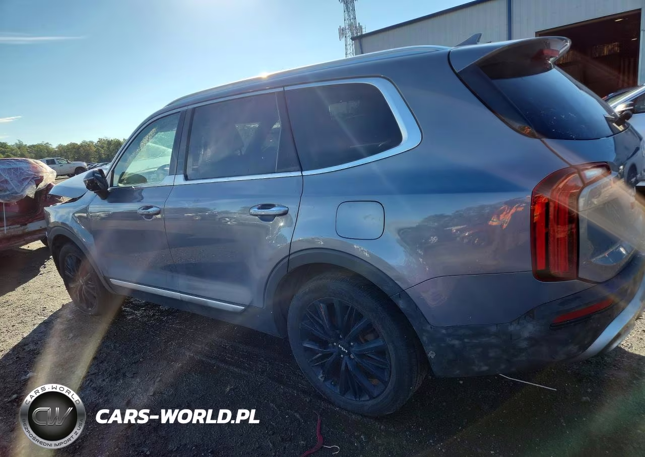 2022 Kia Telluride Sx VIN:5XYP54HC2NG216794 - 2