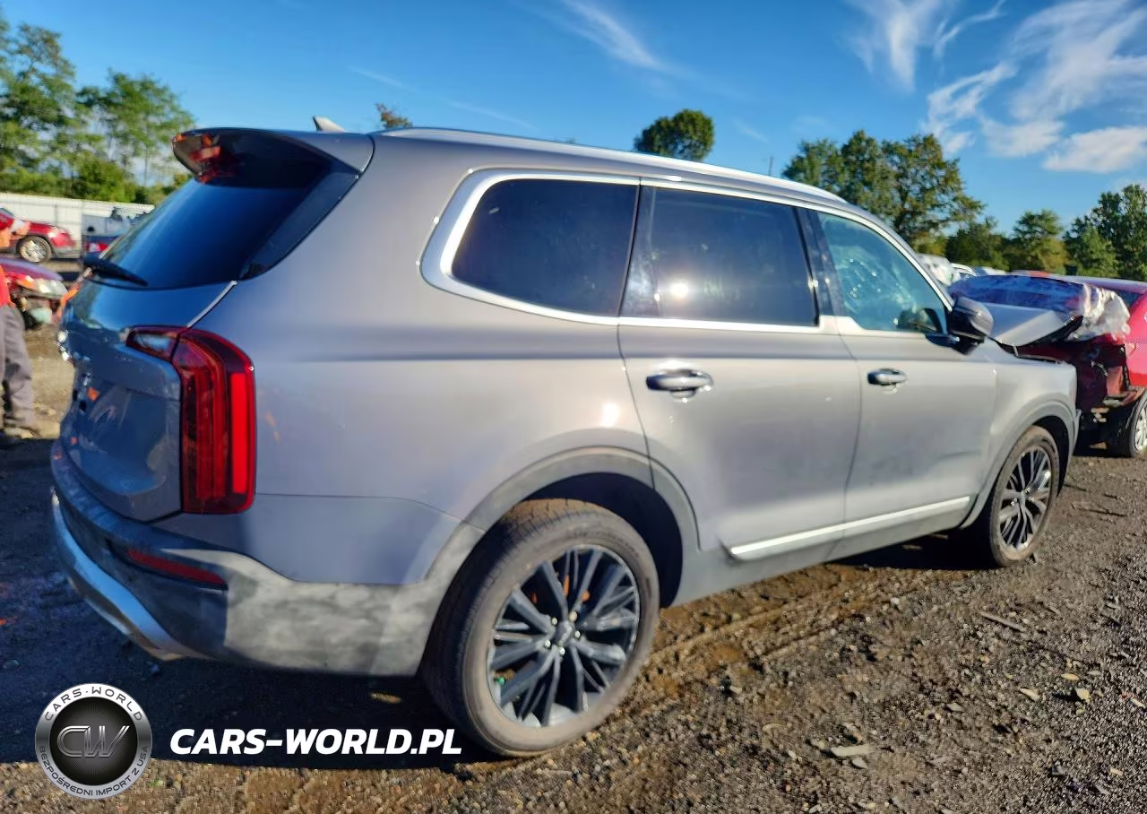 2022 Kia Telluride Sx VIN:5XYP54HC2NG216794 - 3