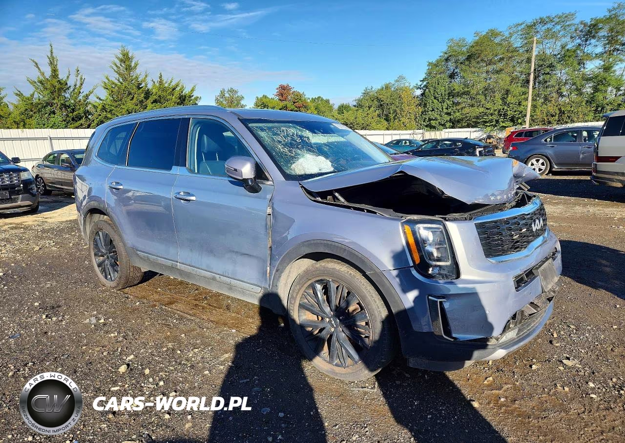 2022 Kia Telluride Sx VIN:5XYP54HC2NG216794 - 4
