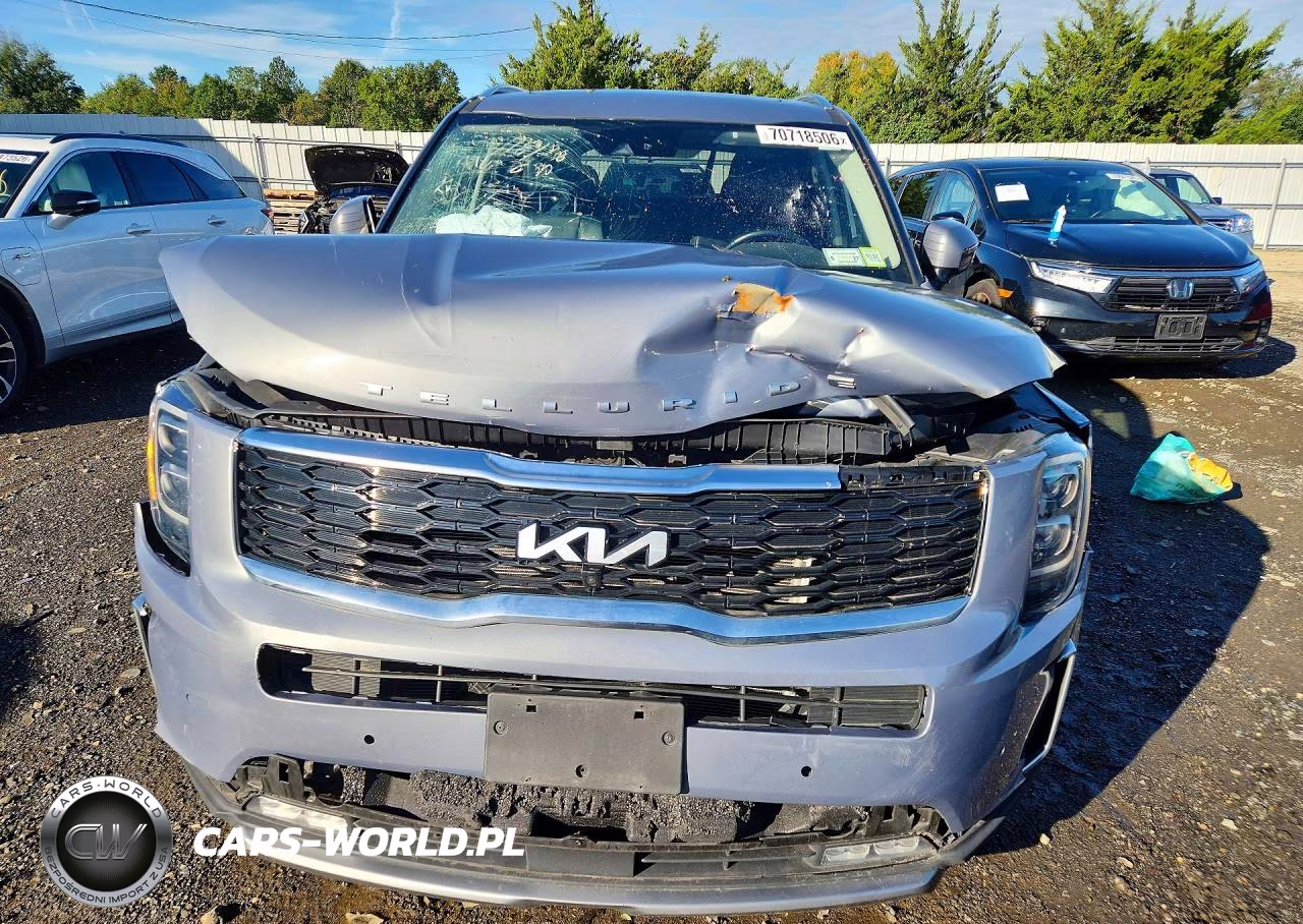 2022 Kia Telluride Sx VIN:5XYP54HC2NG216794 - 5