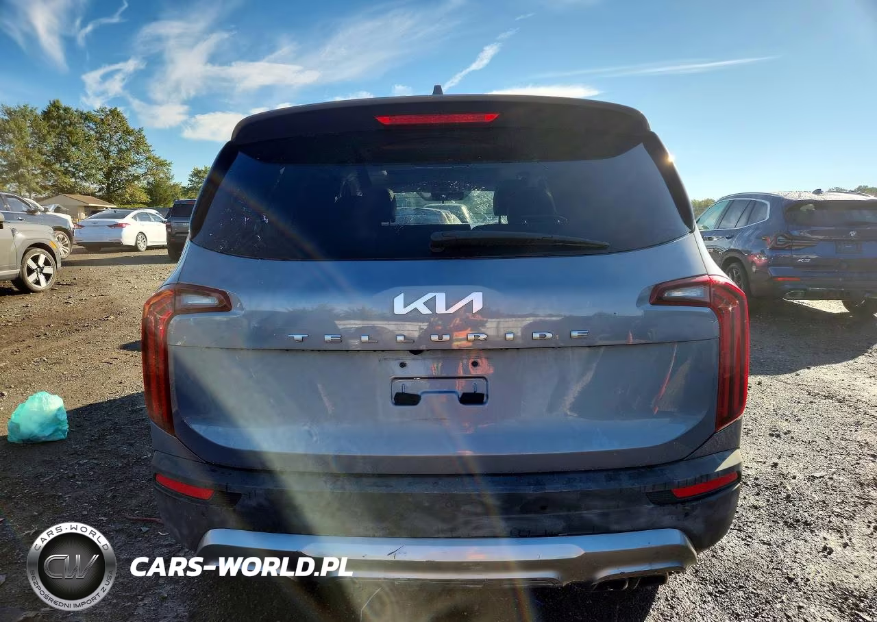 2022 Kia Telluride Sx VIN:5XYP54HC2NG216794 - 6