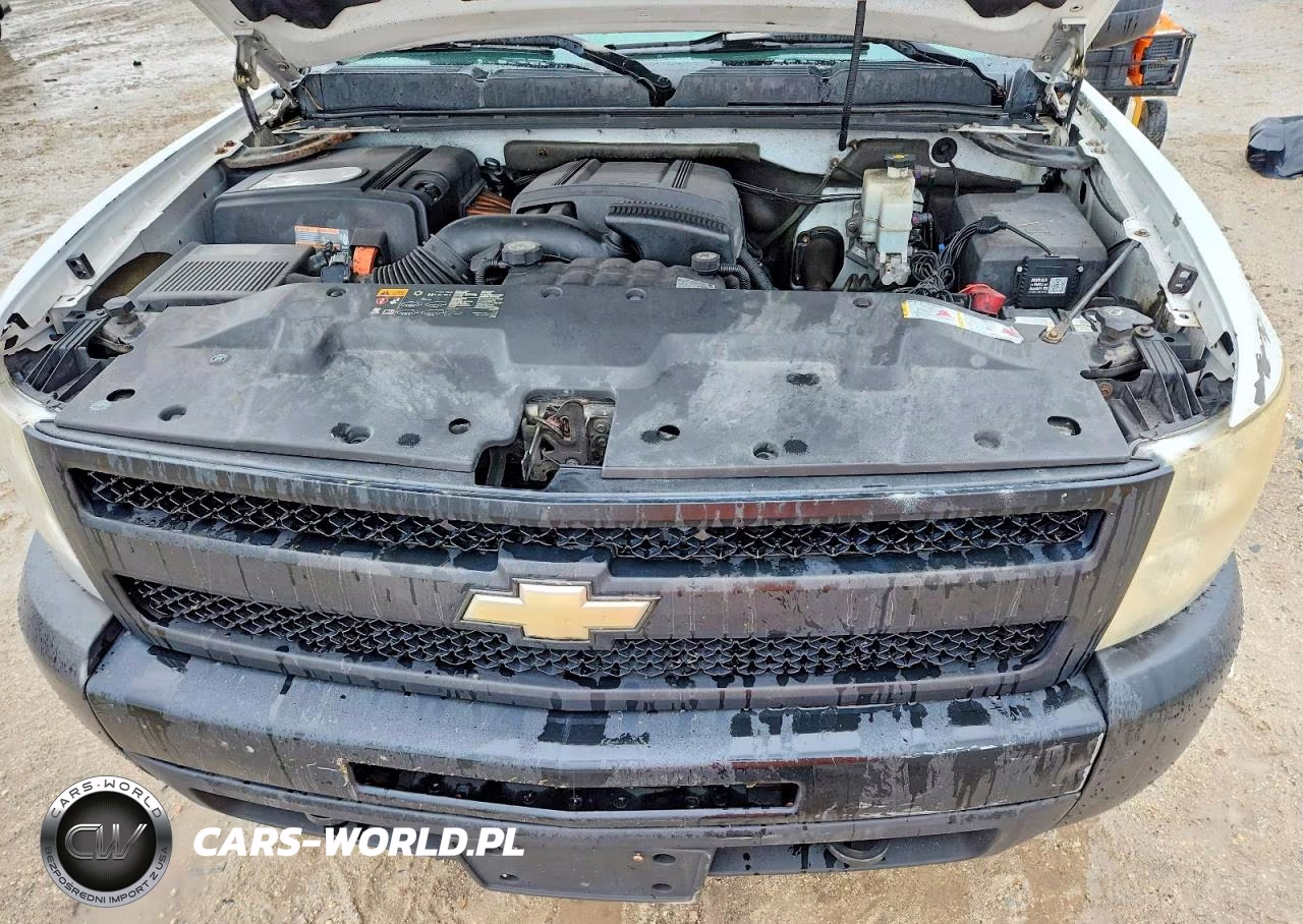 2010 Chevrolet Silverado C1500 Hybrid VIN:3GCXCUEJ1AG255199 - 11