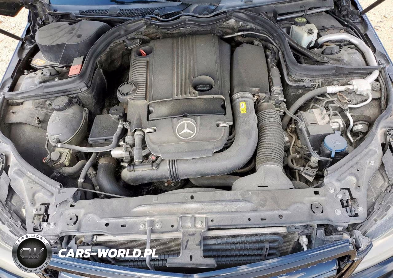 2013 Mercedes-Benz C 250 VIN:WDDGJ4HB0DG011298 - 11