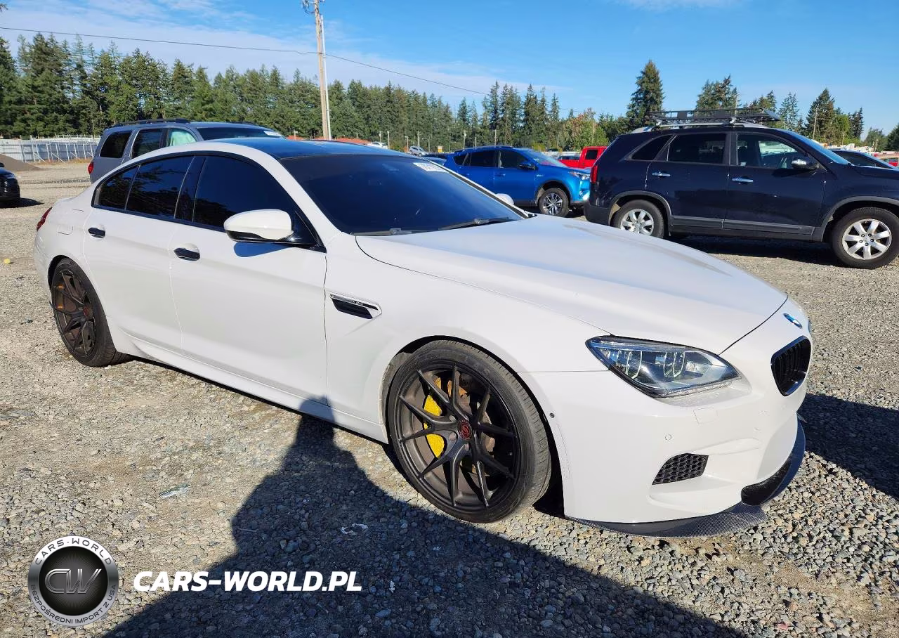 2014 BMW M6 Gran Coupe VIN:WBS6C9C59ED466919 - 4