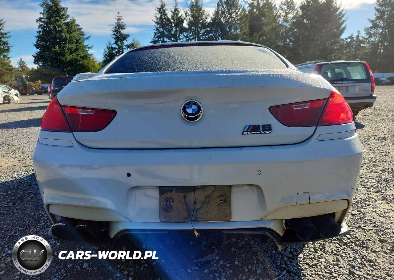 2014 BMW M6 Gran Coupe VIN:WBS6C9C59ED466919 - 6