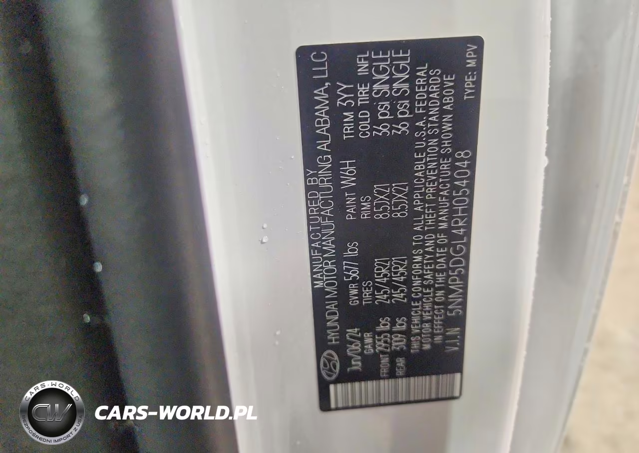 2024 Hyundai Santa Fe Calligraphy VIN:5NMP5DGL4RH054048 - 13