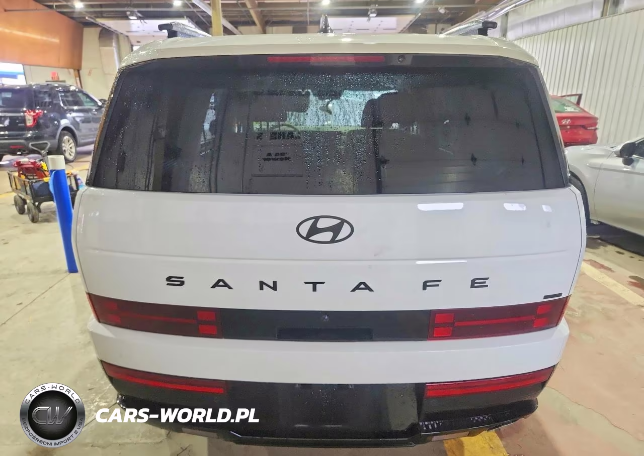 2024 Hyundai Santa Fe Calligraphy VIN:5NMP5DGL4RH054048 - 6