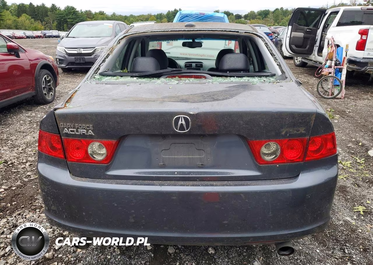 2006 Acura Tsx VIN:JH4CL96956C008440 - 6