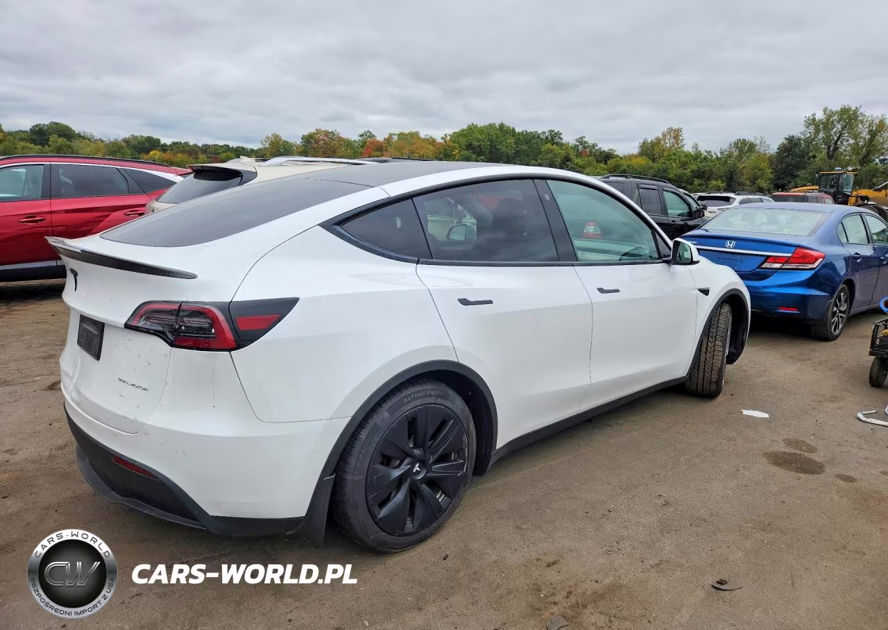 2023 Tesla Model Y VIN:7SAYGAEE0PF607796 - 3