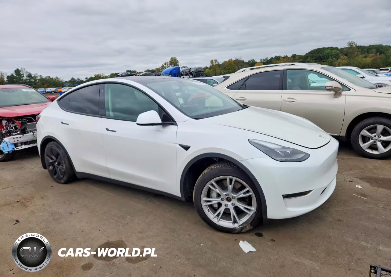 2023 Tesla Model Y VIN:7SAYGAEE0PF607796 - 4