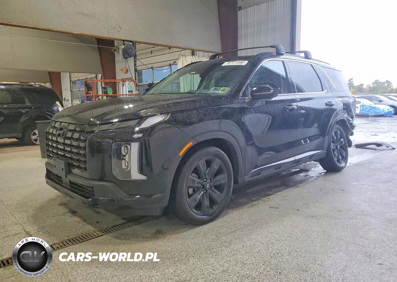 2025 Hyundai Palisade Xrt VIN:KM8R3DGE9SU897558 - 1