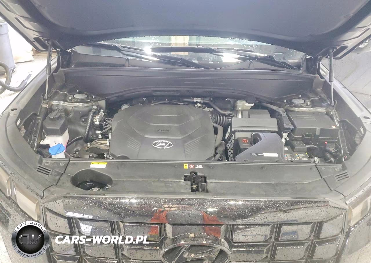 2025 Hyundai Palisade Xrt VIN:KM8R3DGE9SU897558 - 12