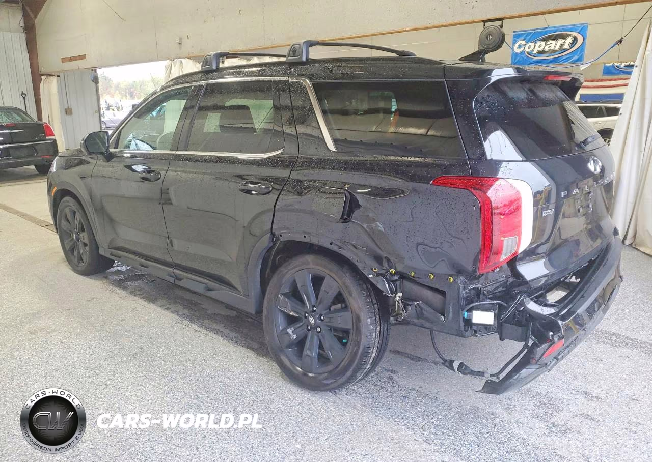 2025 Hyundai Palisade Xrt VIN:KM8R3DGE9SU897558 - 2