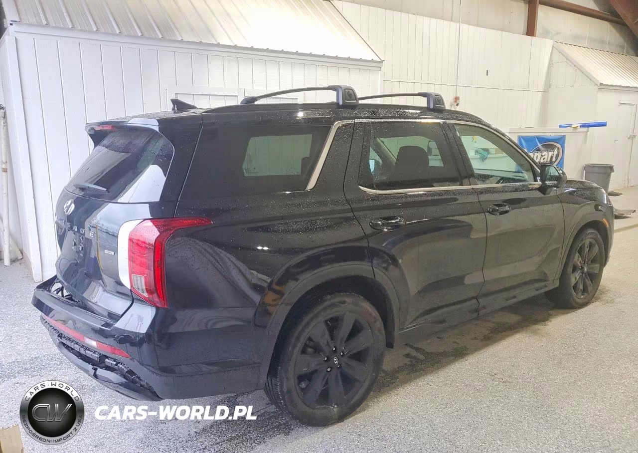 2025 Hyundai Palisade Xrt VIN:KM8R3DGE9SU897558 - 3