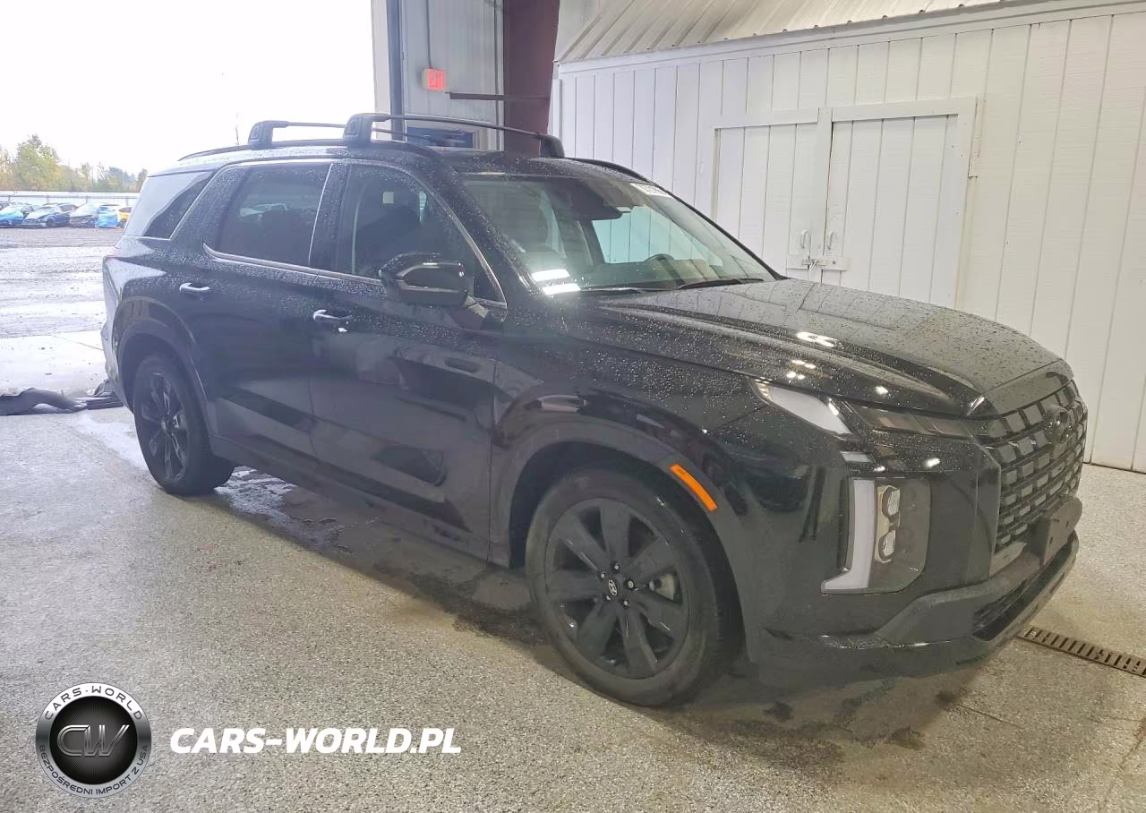 2025 Hyundai Palisade Xrt VIN:KM8R3DGE9SU897558 - 4