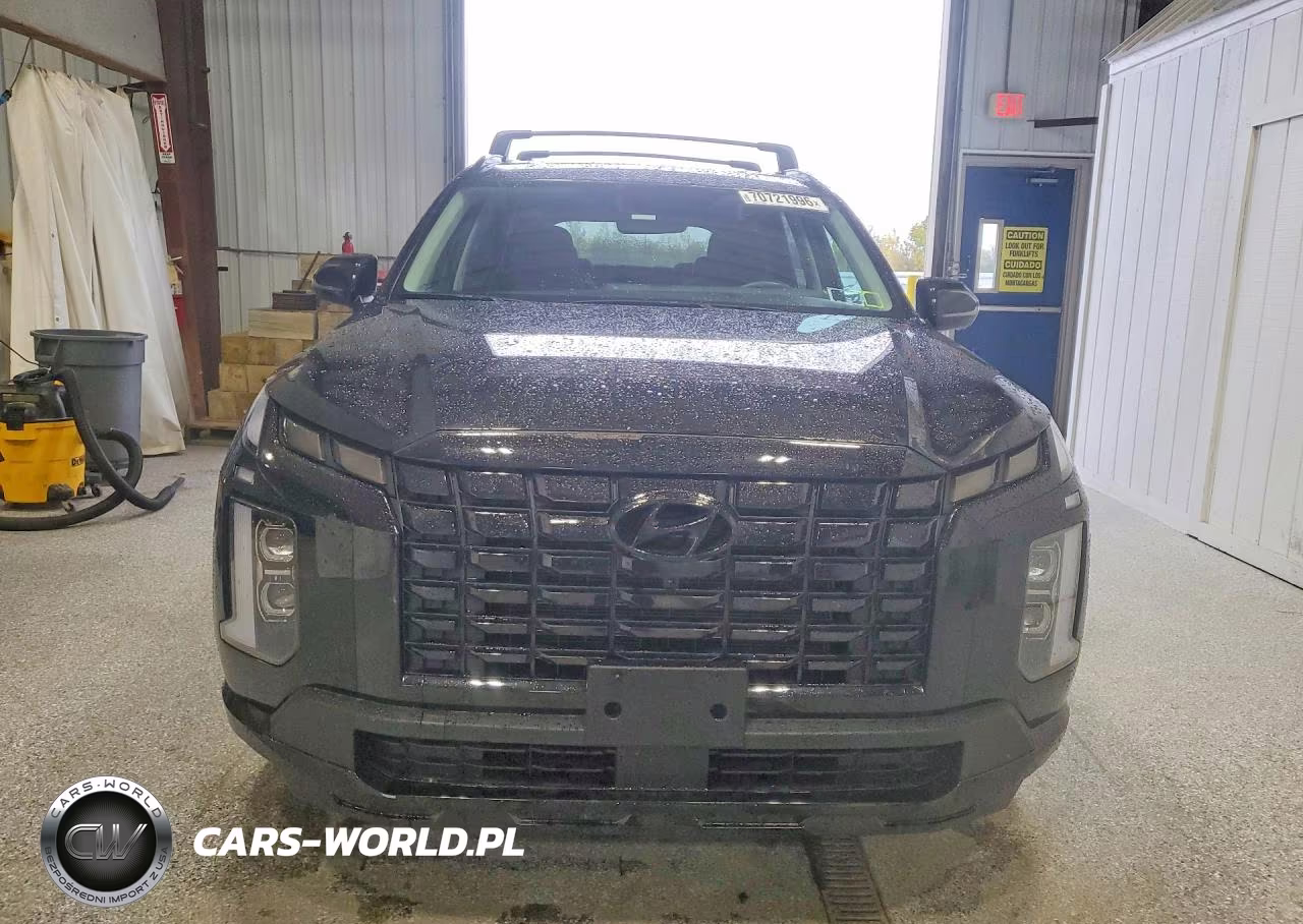 2025 Hyundai Palisade Xrt VIN:KM8R3DGE9SU897558 - 5