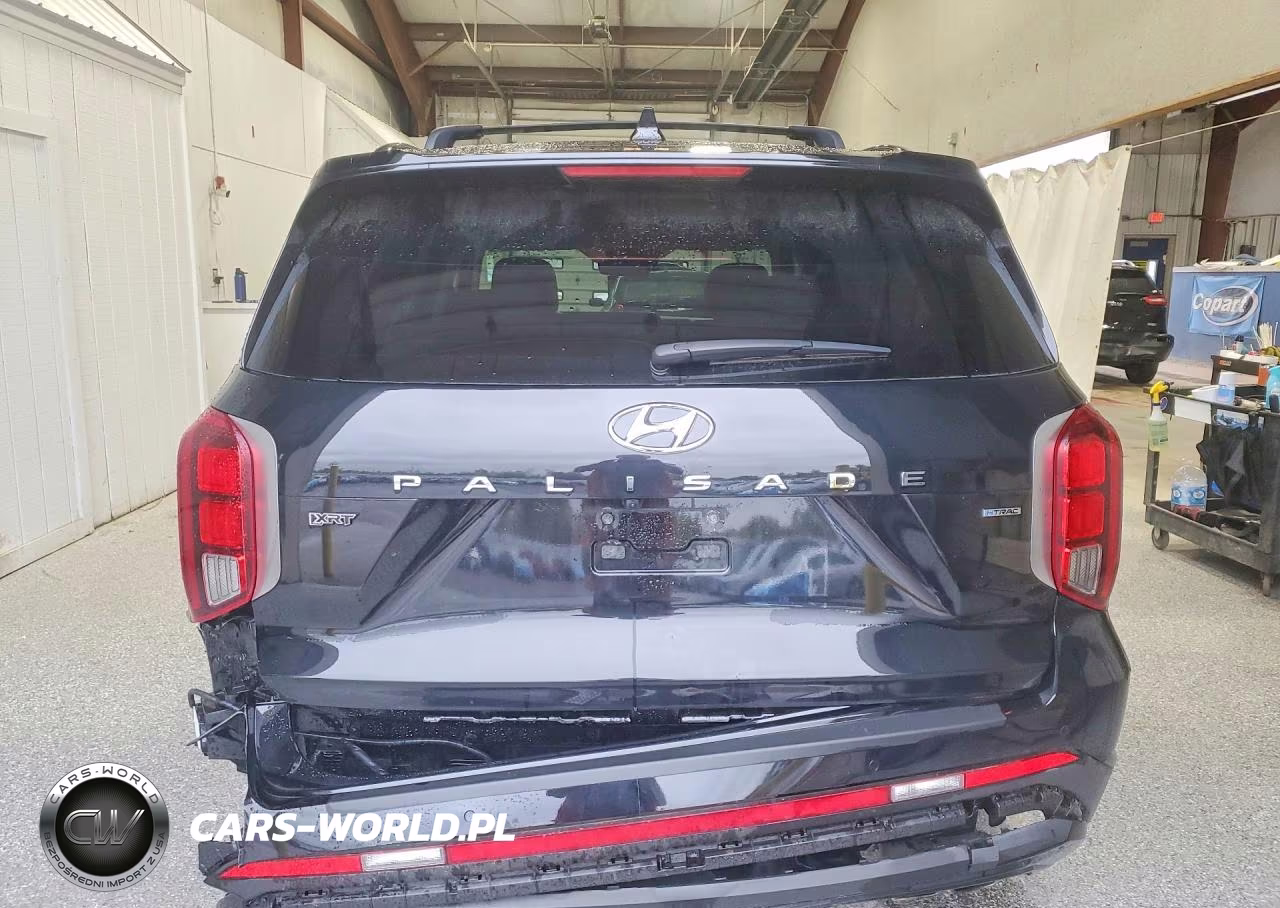 2025 Hyundai Palisade Xrt VIN:KM8R3DGE9SU897558 - 6