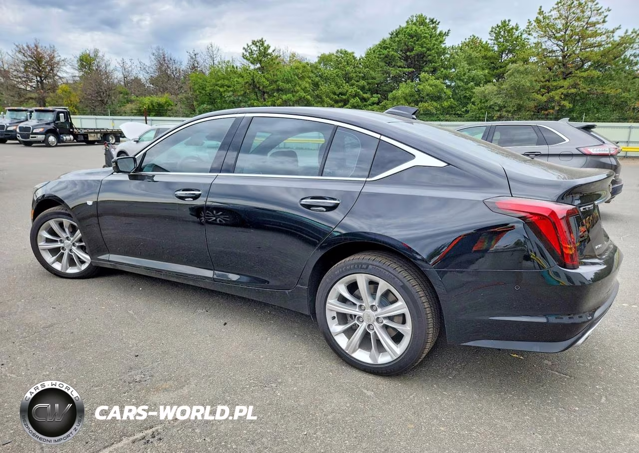 2025 Cadillac Ct5 Premium Luxury VIN:1G6DS5RW0S0110214 - 2
