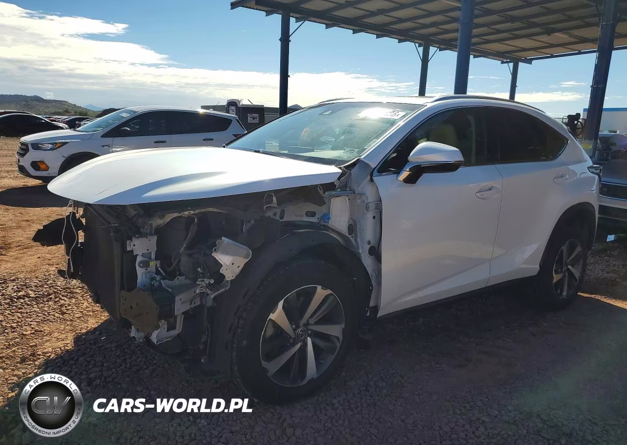 2019 Lexus Nx 300 Base VIN:JTJYARBZ7K2117028 - 1