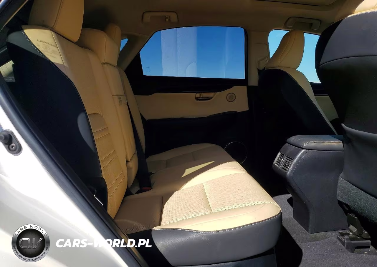 2019 Lexus Nx 300 Base VIN:JTJYARBZ7K2117028 - 10