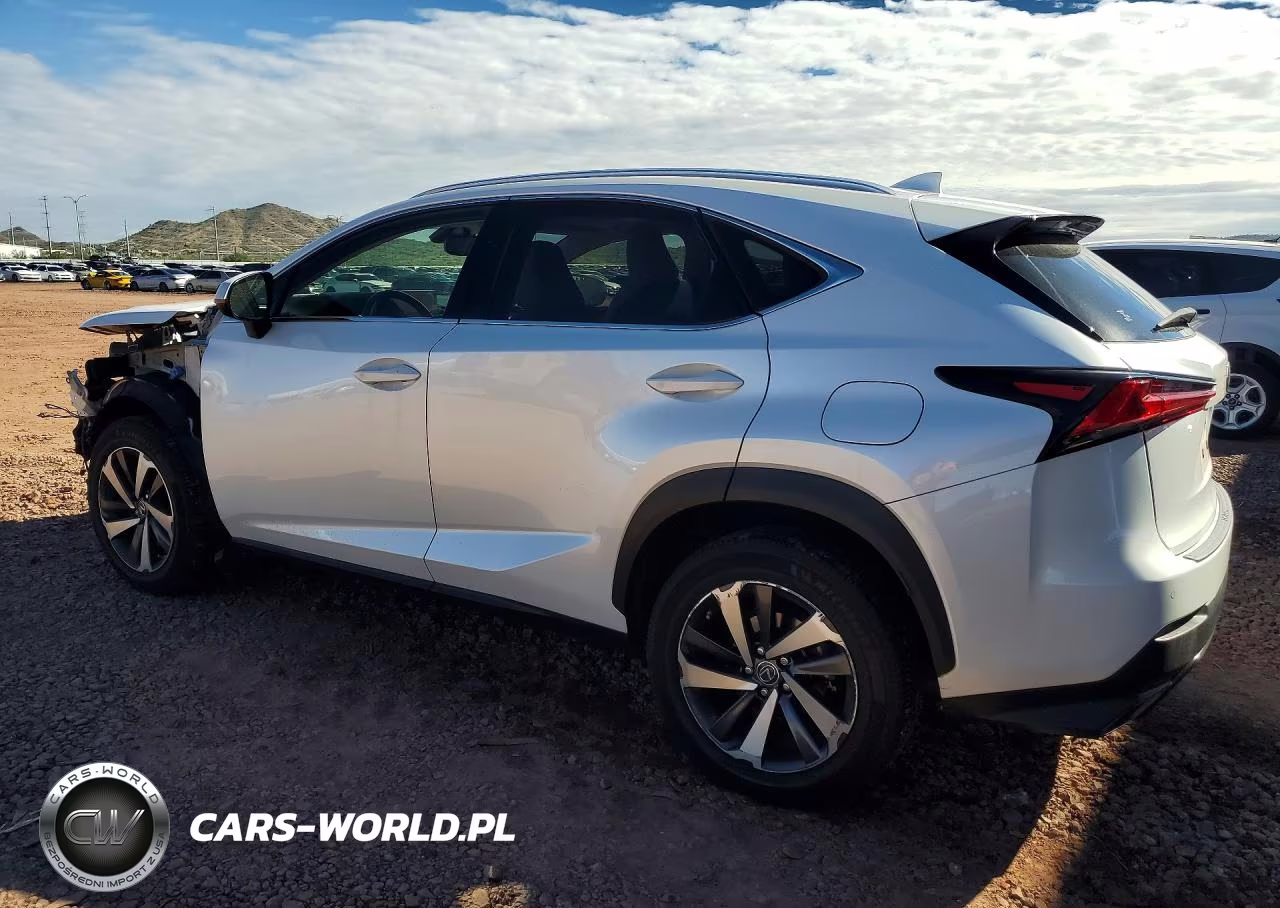 2019 Lexus Nx 300 Base VIN:JTJYARBZ7K2117028 - 2