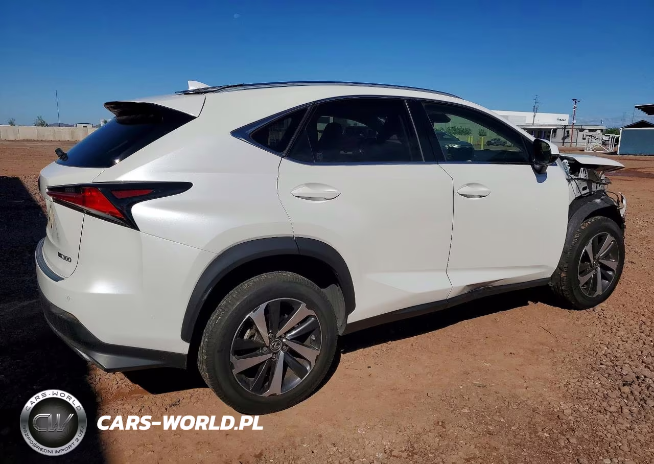 2019 Lexus Nx 300 Base VIN:JTJYARBZ7K2117028 - 3