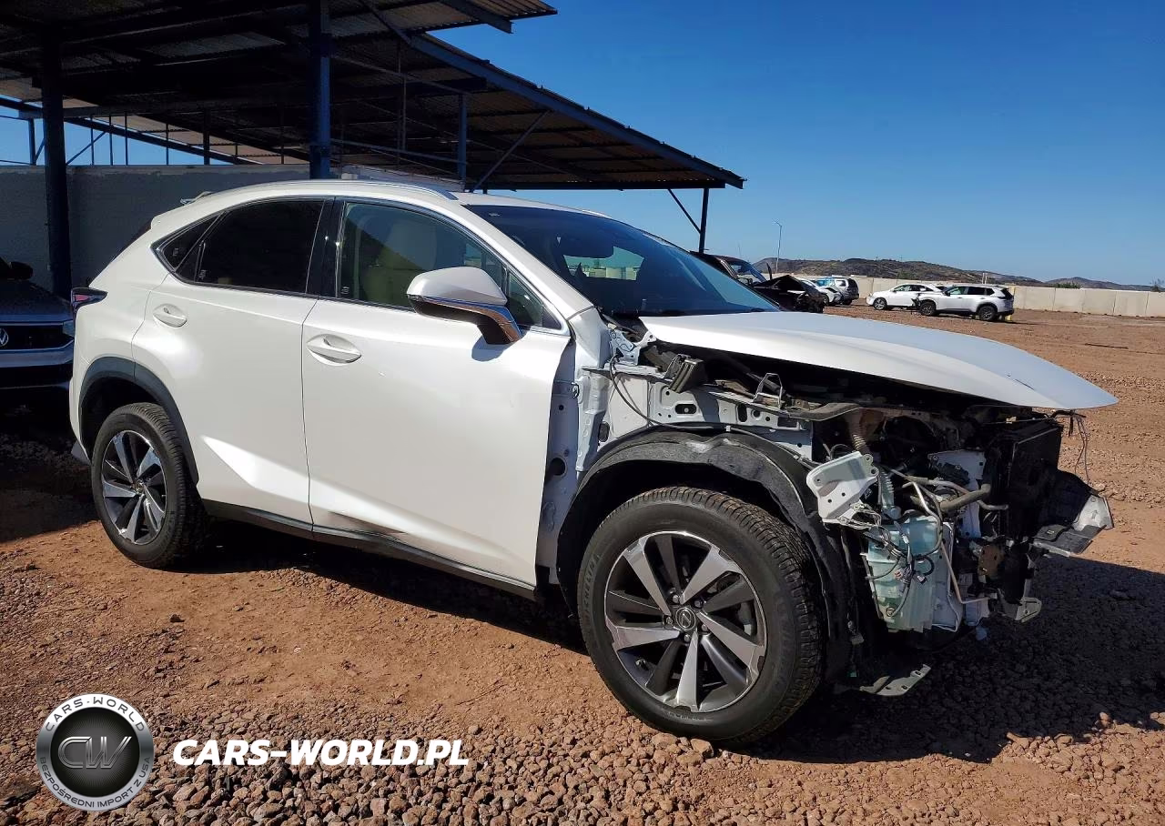 2019 Lexus Nx 300 Base VIN:JTJYARBZ7K2117028 - 4