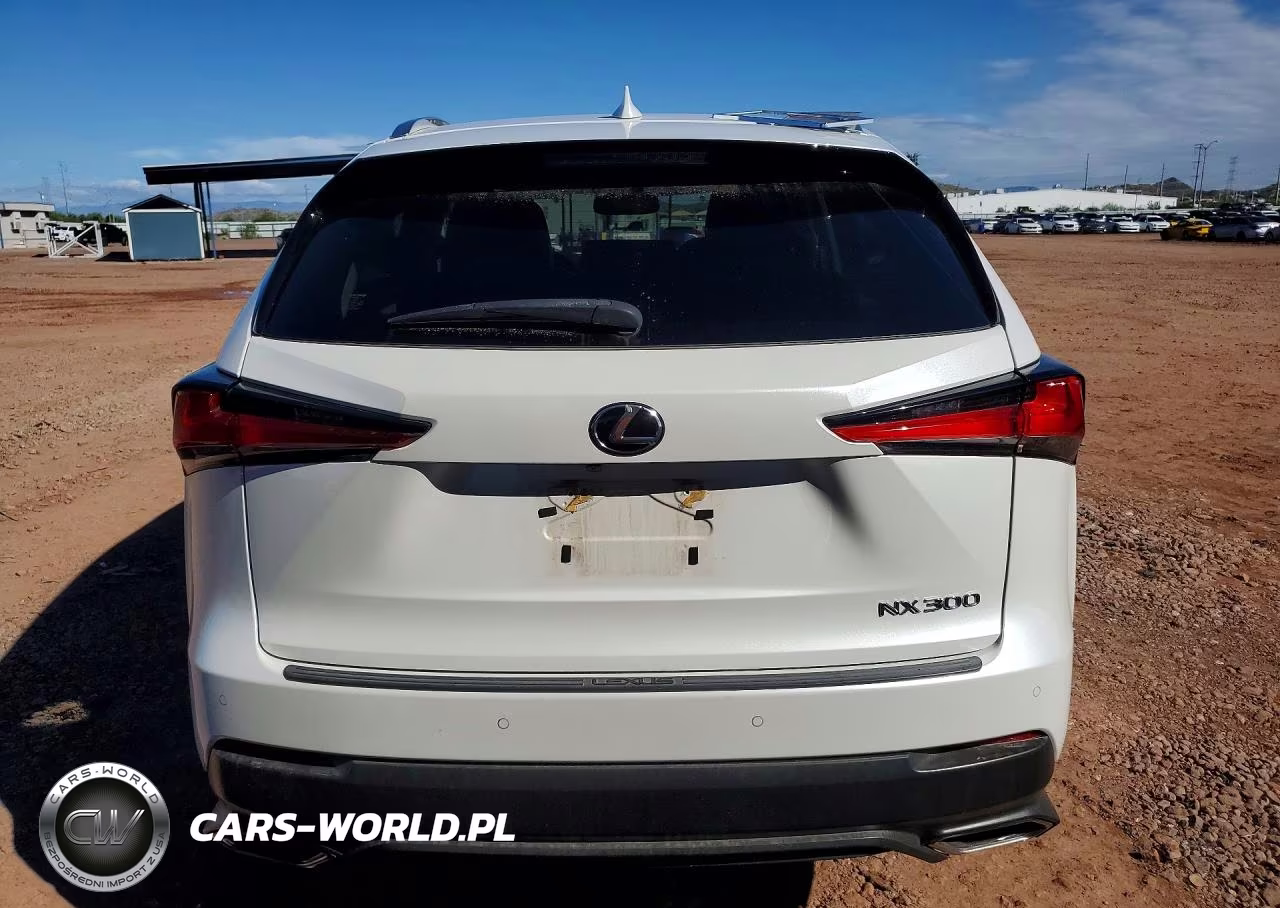 2019 Lexus Nx 300 Base VIN:JTJYARBZ7K2117028 - 6